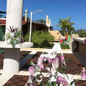 Hotel Boutique